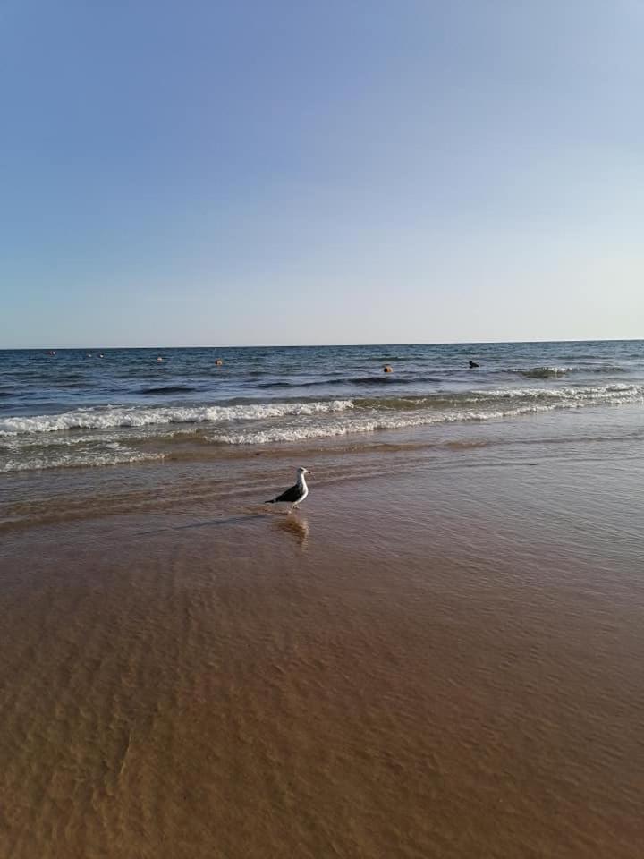 Casa Vila Rosa - T1 Altura Beach Екстер'єр фото